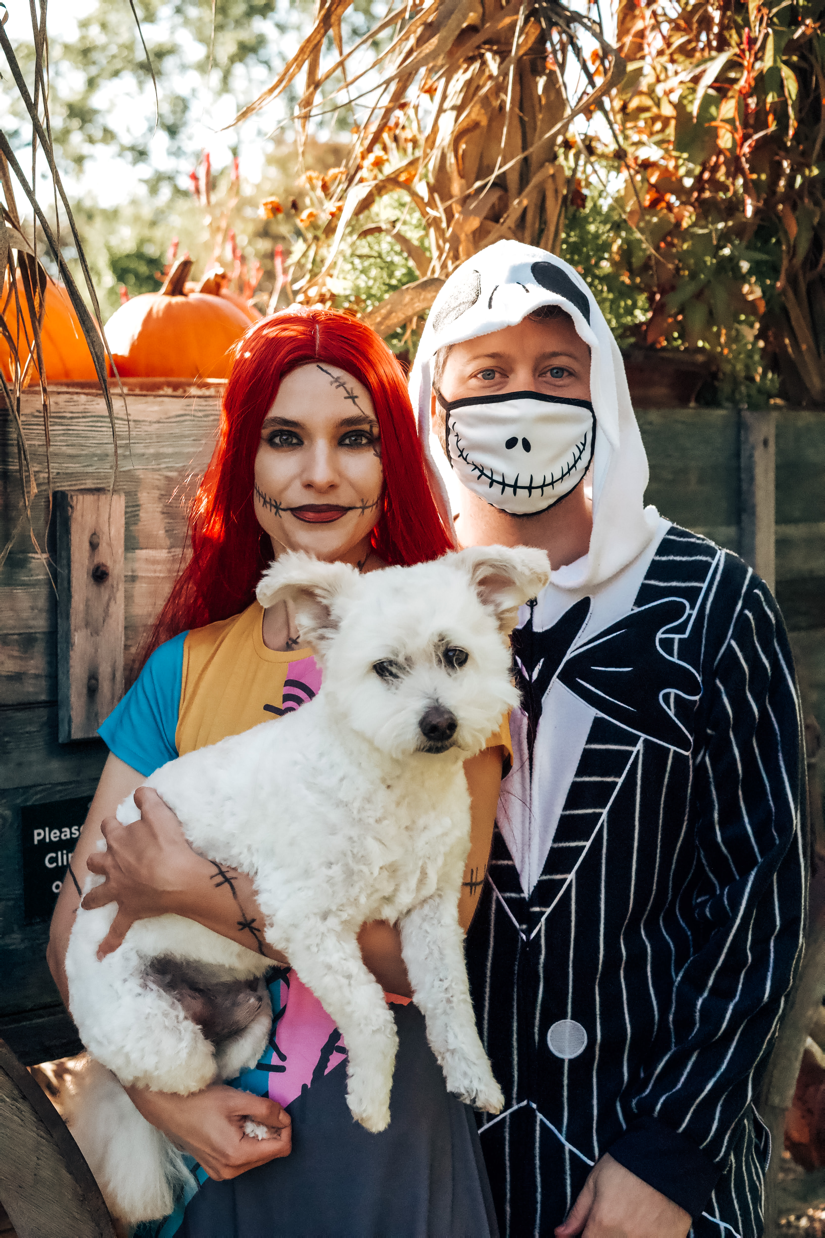 Jack Skellington, Sally, and Zero Halloween costumes 
